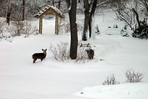 008 20031207_080216_5854 null