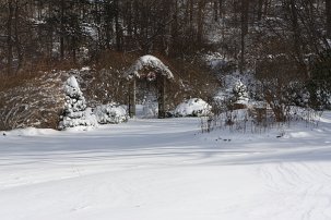 20101227 133608.jpg null