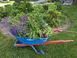 20230609 074538 7 Pro null