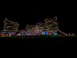 20231130 171722 7 Pro null