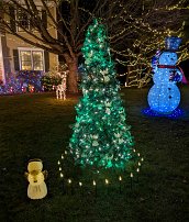 20231130 172902 7 Pro adj null