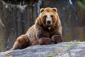 20230425 132902 R5 adj null