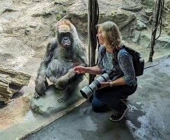 20230425 134914 7 Pro adj T null