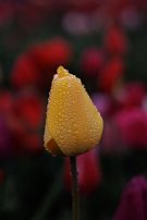 20230430 082723 R5 null