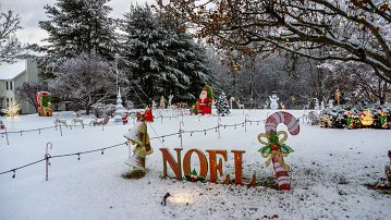 20241205 074915 FC7303 adj null