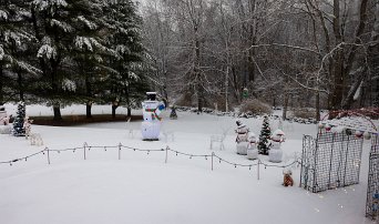 20241205 080000 R5 adj null