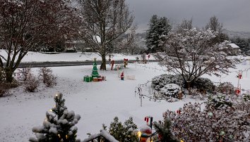 20241205 080110 R5 adj null