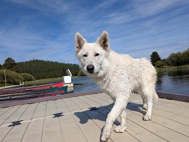 20250905 102201 7 Pro null