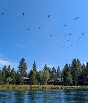 20250905 112945 7 Pro null