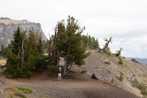 20250909 130948 R5 null