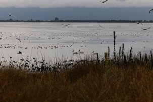 20250910 104951 R5-C null