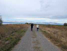 20250910 105117 7 Pro null