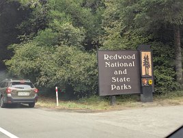 20250912 125236 7 Pro null