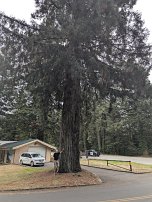 20250912 132726 7 Pro null