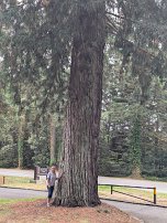 20250912 132823 7 Pro null