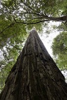 20250912 134007 R5-C null