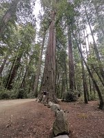 20250912 135352 7 Pro null