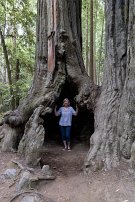 20250912 135528a R5-C null