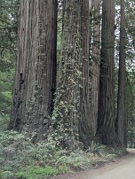 20250912 140051 7 Pro null