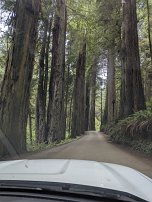 20250912 142401 7 Pro null