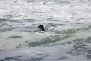 20250918 114142 R5 null