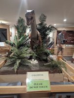 20250926 163859 7 Pro null