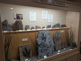 20250926 164245 7 Pro null