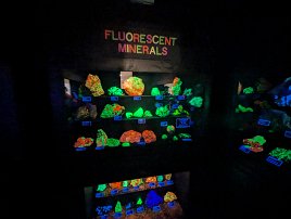 20250926 164520 7 Pro null