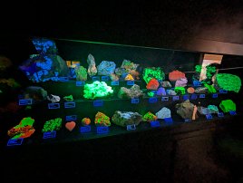 20250926 164524 7 Pro null