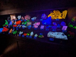 20250926 164531 7 Pro null