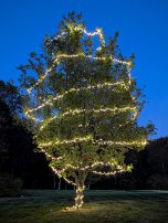 20251005 185732 7 Pro null