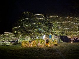 20251013 205515 7 Pro null