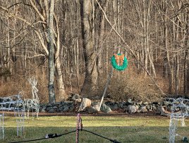 20250102 103426 7 Pro null