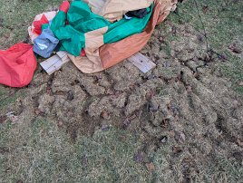 20250102 103715 7 Pro null