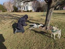 20250102 111250 7 Pro null