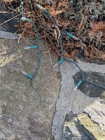 20250102 112532 7 Pro null