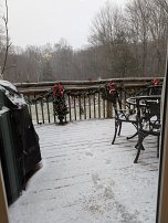 20251206 085246 7 Pro null