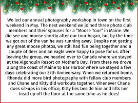 06 Newsletter Paragraph null