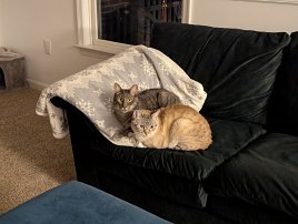 20241224 213047 7 Pro null