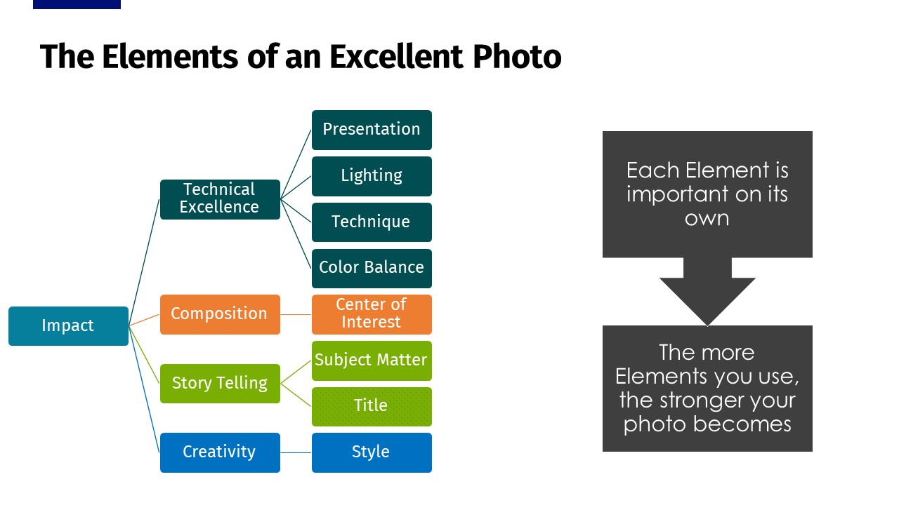 Using-the-Elements-of-an-Excellent-Photo-for-Judges-45
