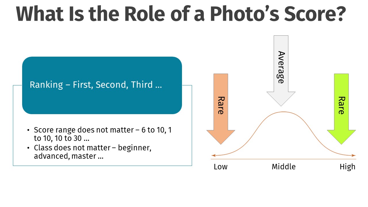 Using-the-Elements-of-an-Excellent-Photo-for-Judges-14