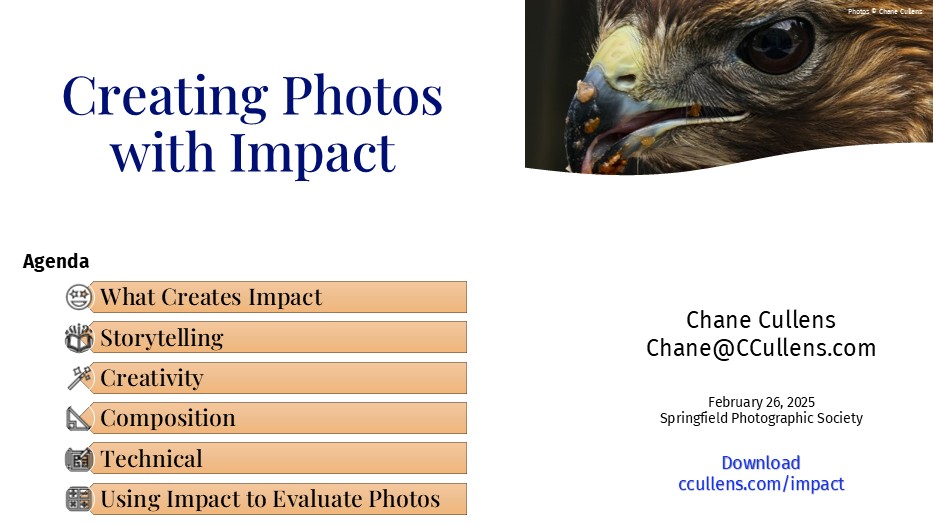 Creating Photos with Impact for Springfield Photographic Society