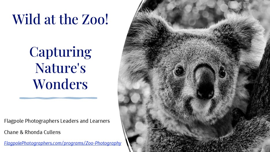 Wild at the Zoo! for Flagpole Photographers