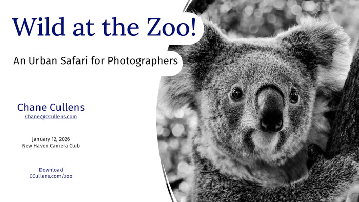 Wild at the Zoo! for New Haven Camera Club