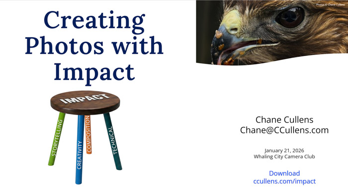 Creating Photos with Impact for Whaling City Camera Club