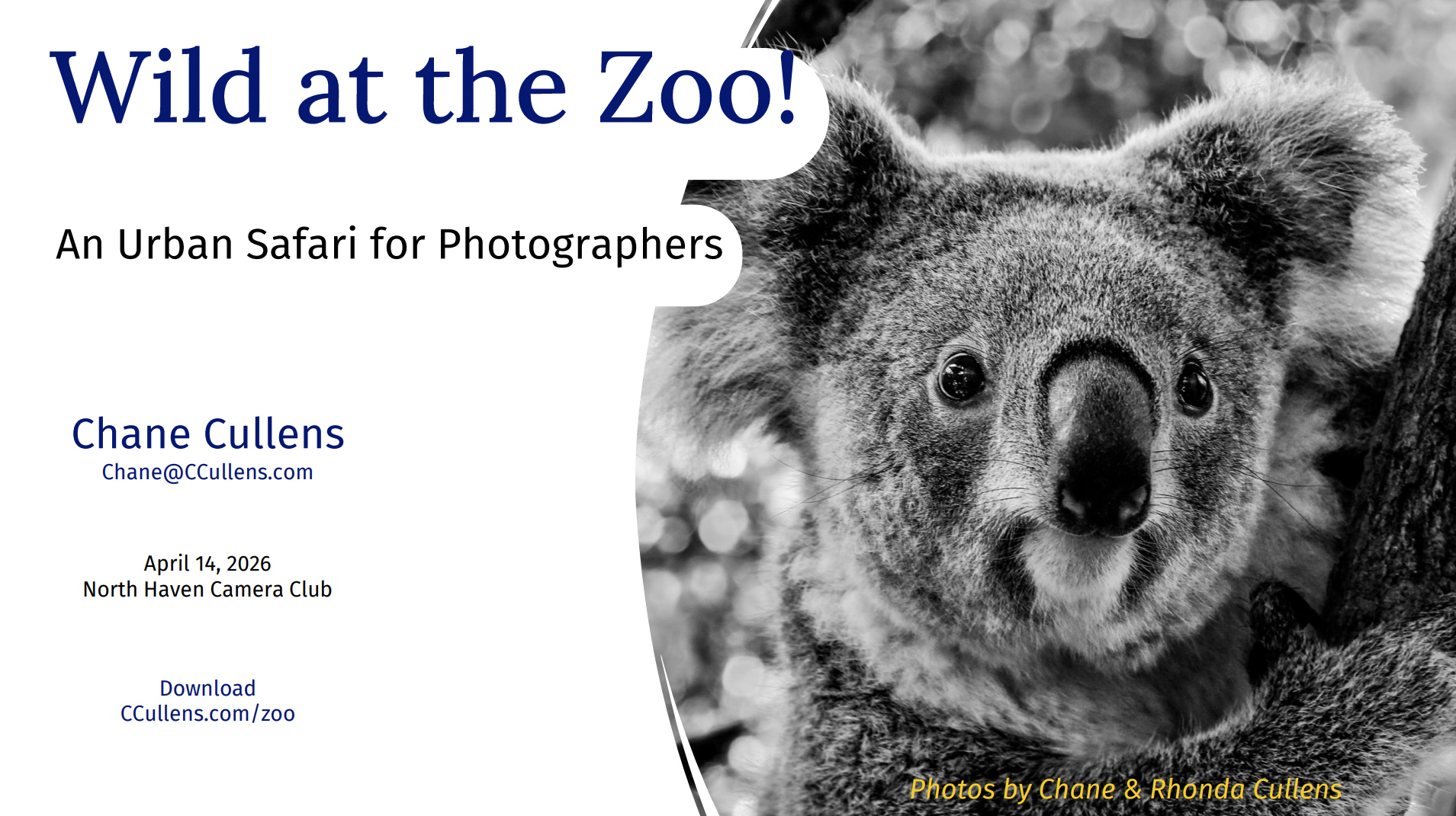 Wild at the Zoo! for New Haven Camera Club